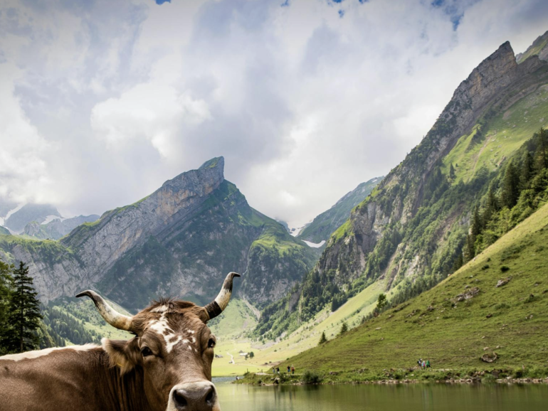 Suiza — Naturaleza, montañas y bienestar en estado puro 🇨🇭